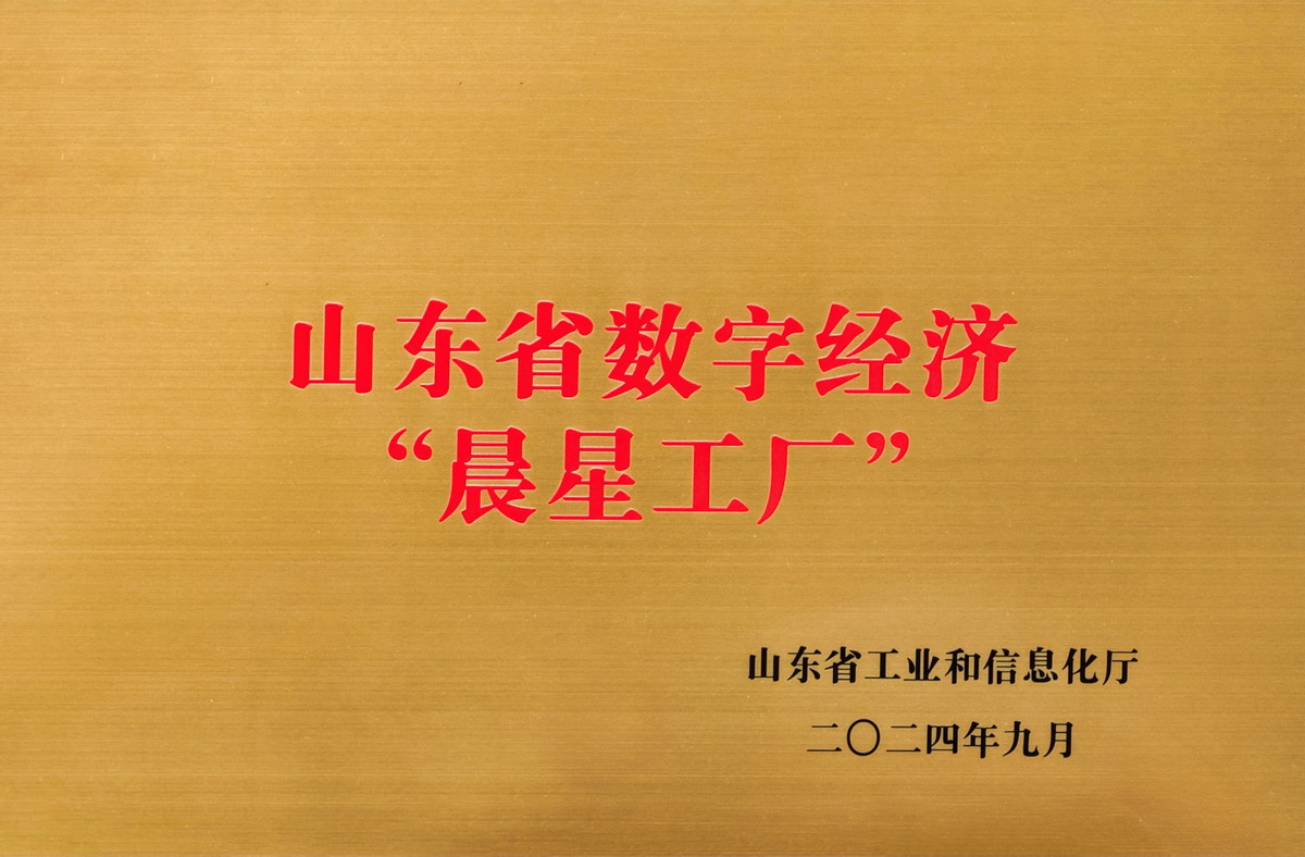 【7】山东省数字经济“晨星工厂”.jpg